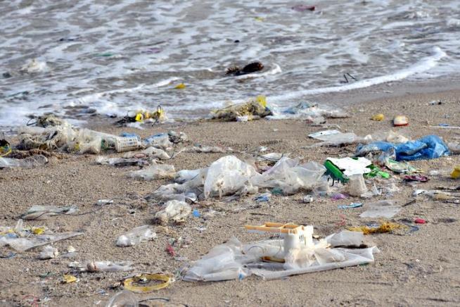 Areas With Plastic Bag Rules Have Cleaner Beaches