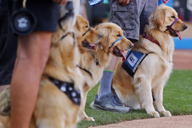 Lawmaker Lies in State With Husband, Dog