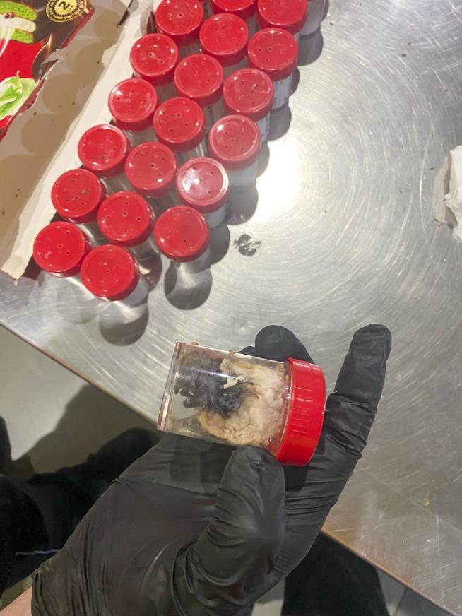 Customs Officers Find 1.5K Tarantulas in Spongecake Boxes
