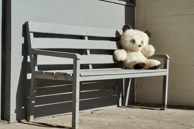 Teddy Bear Resembling Human Flesh Gets a Police Inquiry