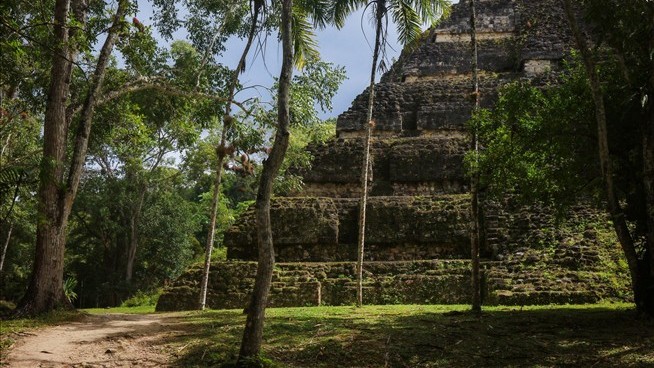 Remains in Jungle May Be Missing US Bird-Watcher