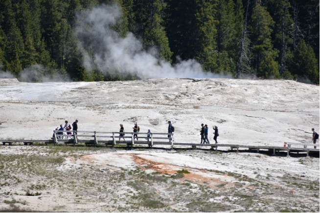 Teen Stumbles Into Boiling Yellowstone Geyser Basin