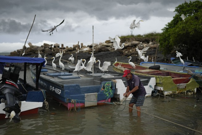 Experts Untangle Reasons Tsunami Wasn't Worse