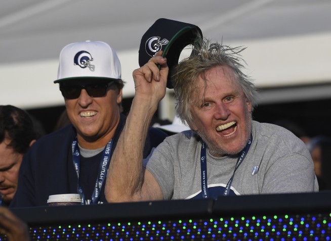 Gary Busey Admits Groping Woman at Horror Convention