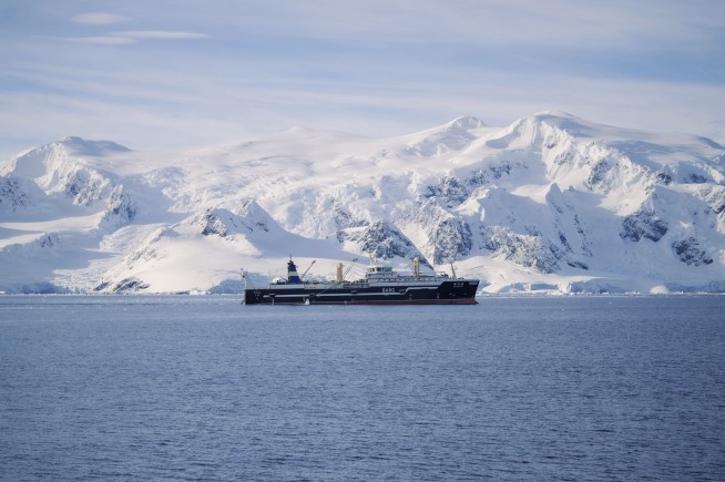 Antarctic Krill Fishery Shut Down Early