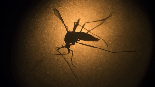 China Taking Extreme Steps to Quash a Virus Outbreak