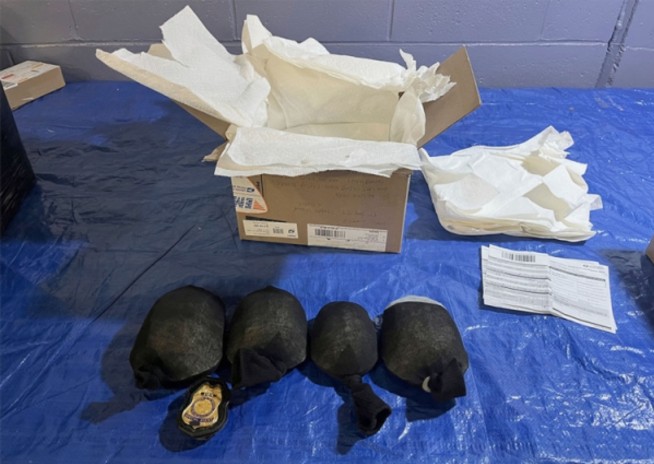 Boxes Labeled 'Plastic Animal Toys' Were Really 850 Turtles