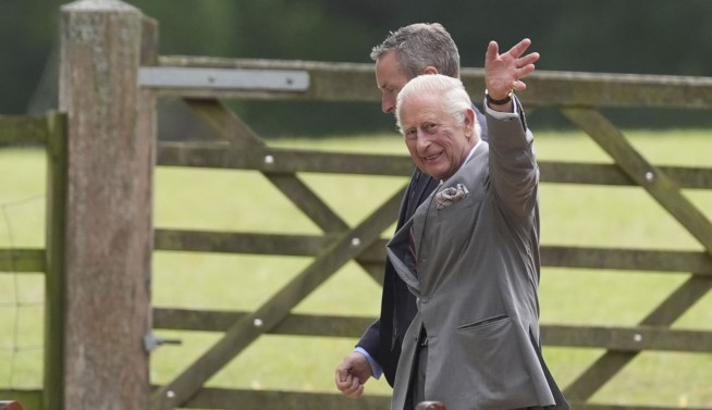 Wasps Invade King Charles' Country Estate