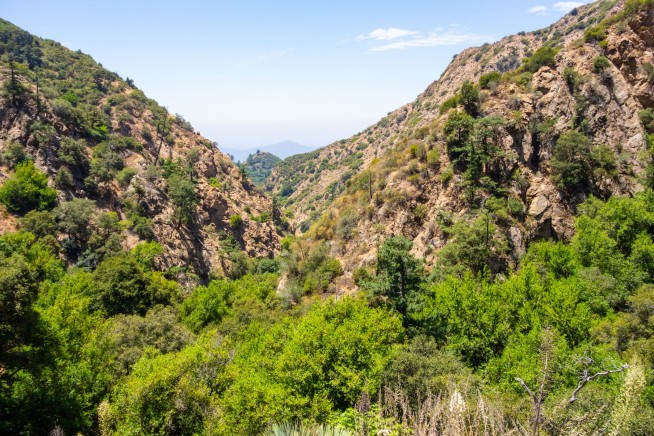 Cops: Woman's Body Found in Forest, Husband Flees to Peru