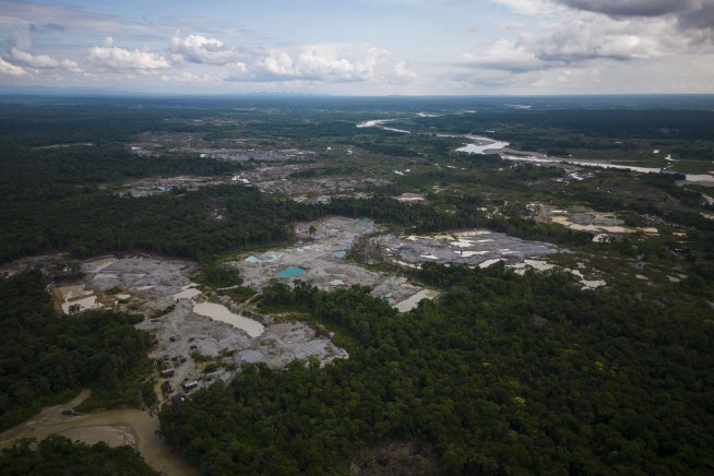 The Toll of Deforestation: 500K Dead Humans