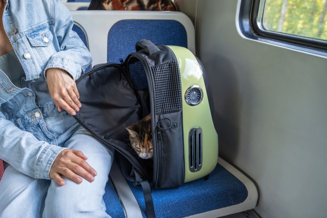 Cat's Loud Meows on Train Land Owner $130 Fine