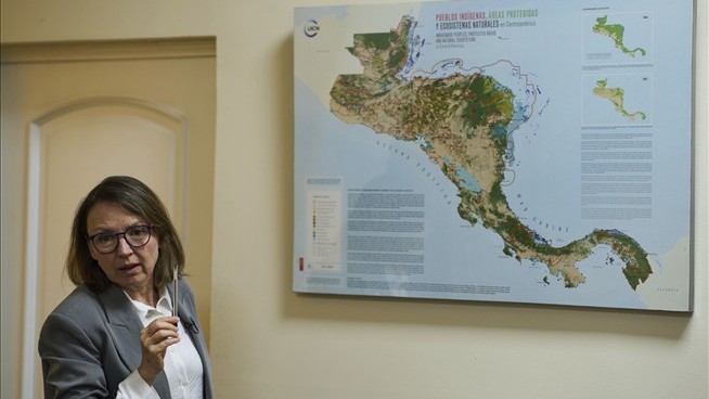 3 Countries Plan to Protect 14M Acres of Mayan Forest