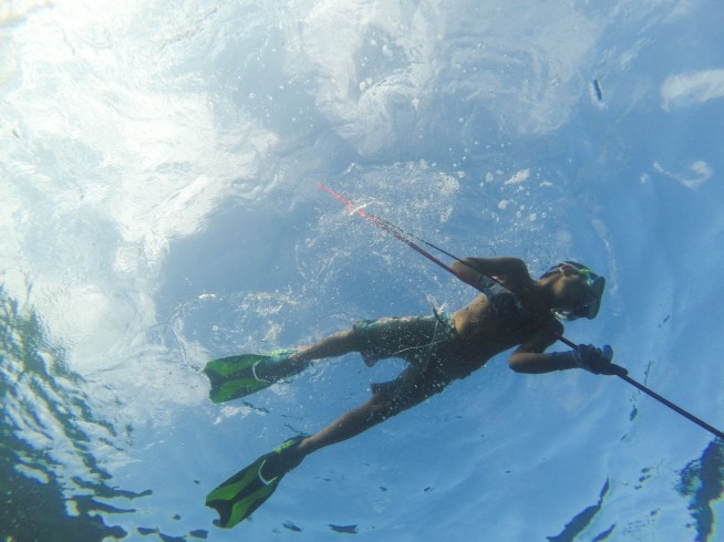 Shark Bites 8-Year-Old Off Florida Keys