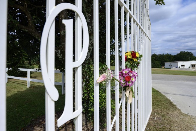 Cops: She Was Walking Dog at Park When Man Came to Kill