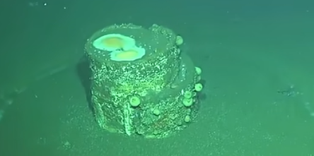 Scientists Explain the 'Halos' Around LA's Ocean Barrels
