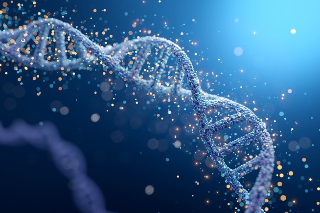 DNA Test Cracks Rape Case With Identical Twin Suspects