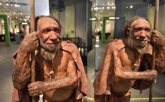 Ancient Skull May Rewrite Human Origins