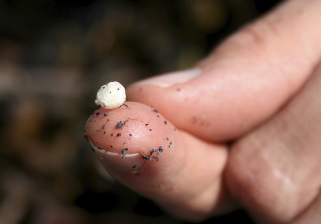 Tiny Plastic Pollution Might Be Creeping Into Your Bones