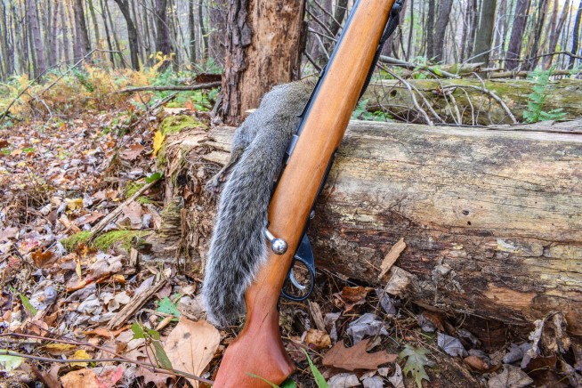 Teen Hunter Was Mistaken for Squirrel, Fatally Shot: DNR