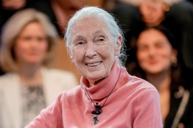 Jane Goodall Dies at 91