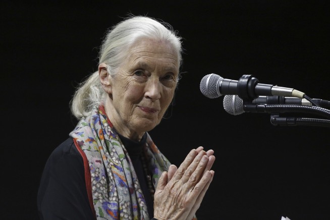 Jane Goodall's Wish: Musk, Trump on One-Way Rocket