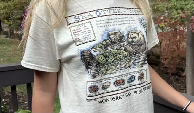 Taylor Swift's Otter Shirt Raises $2.2M for Aquarium in a Day