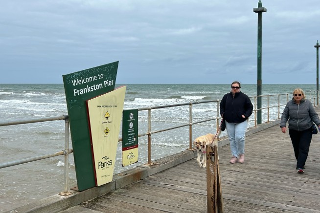Surfer in Distress, His Would-Be Rescuer Both Perish