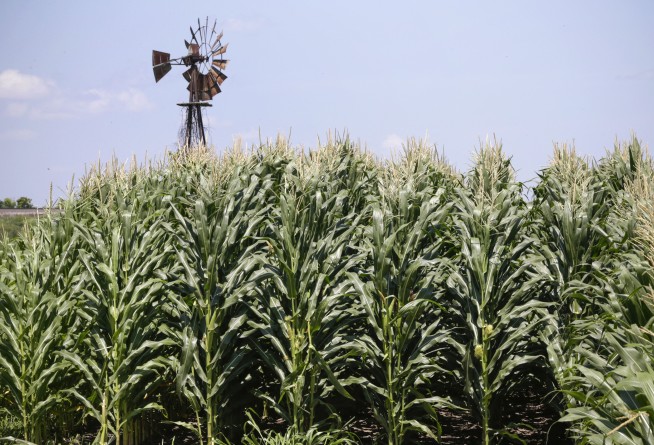 In America's Corn Belt, Cancer Is Rising Among the Young