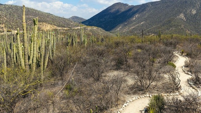 Mexico Has No Epic Trails. She's Out to Change That