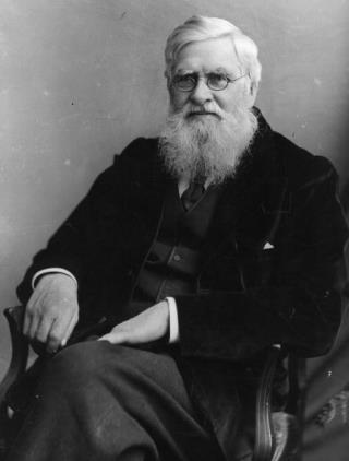 Plagiarism Case Evolves Against Darwin