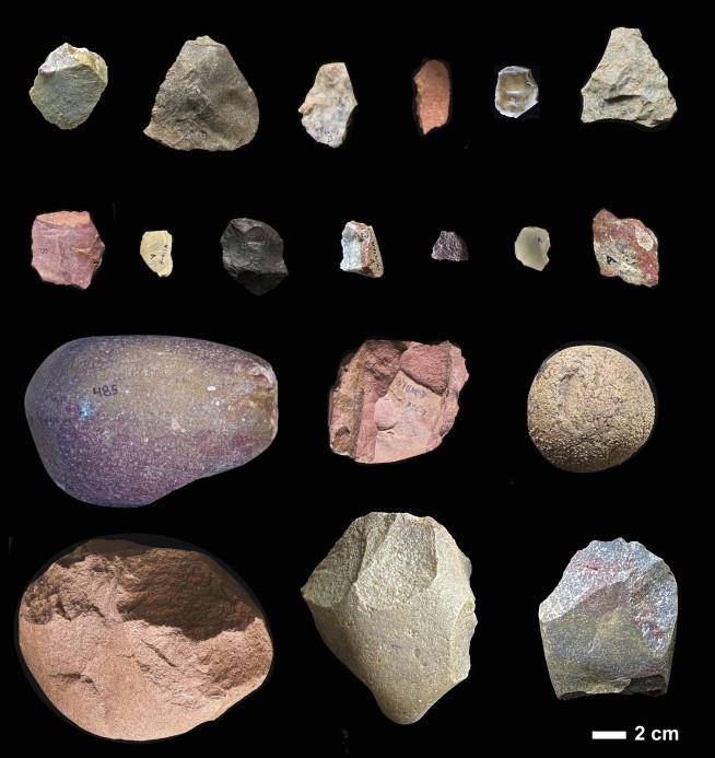 Some of the First Humans Used Tools Continuously