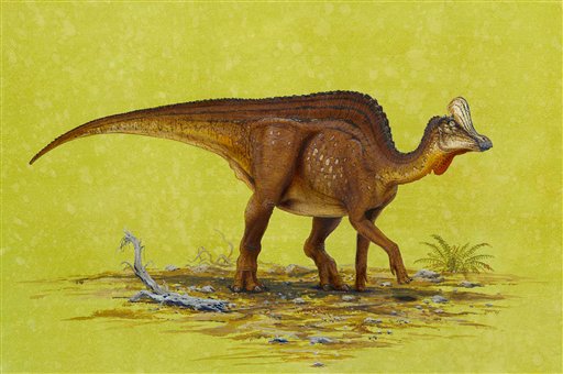 There's a New Way to Tell Male, Female Dinosaurs Apart