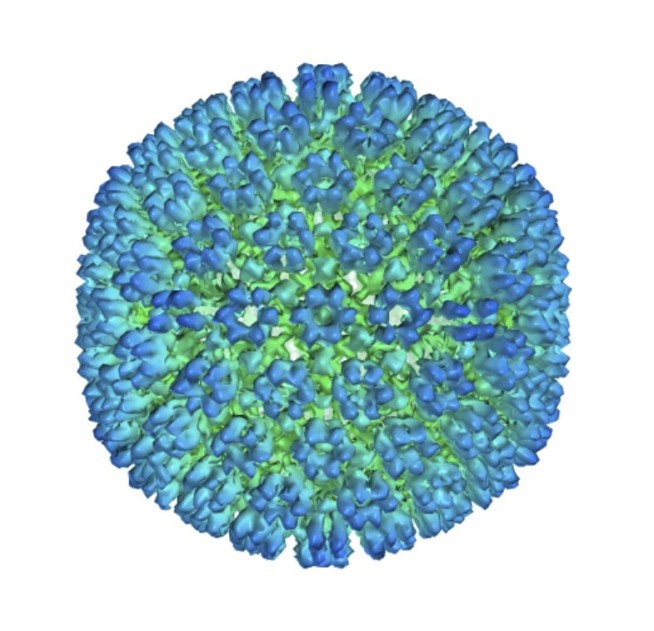 Lupus Just Got a Bit Less Mysterious