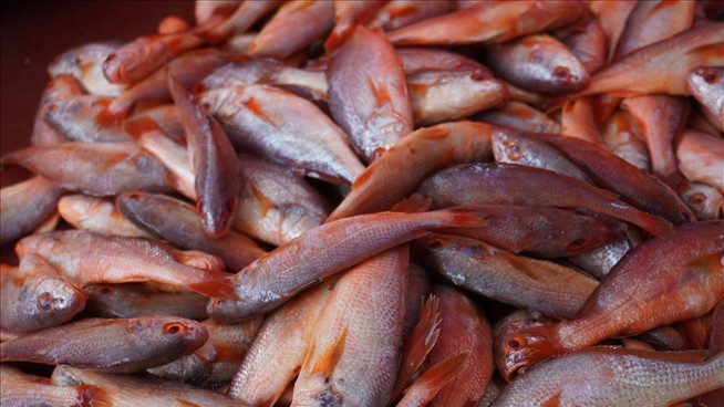 It's a Sign Things Are Getting Worse Between China, Japan