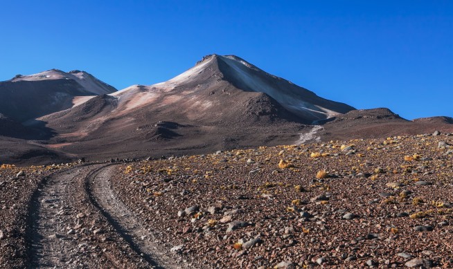 He Ran the Highest Marathon Ever—at a Cost