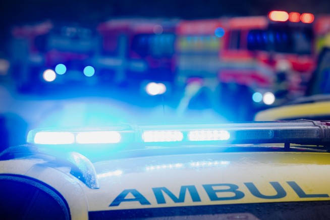 Los Angeles Tree Trimmer Dies in 35-Foot Fall Onto Fence