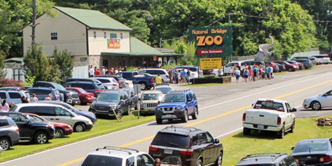 Zoo Owner Jailed Over Missing Giraffes Says They Don't Exist