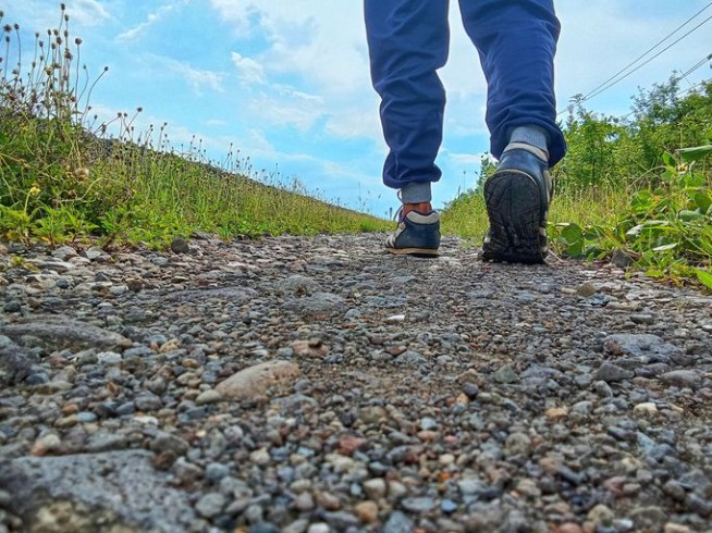 America's Most, Least Healthy States