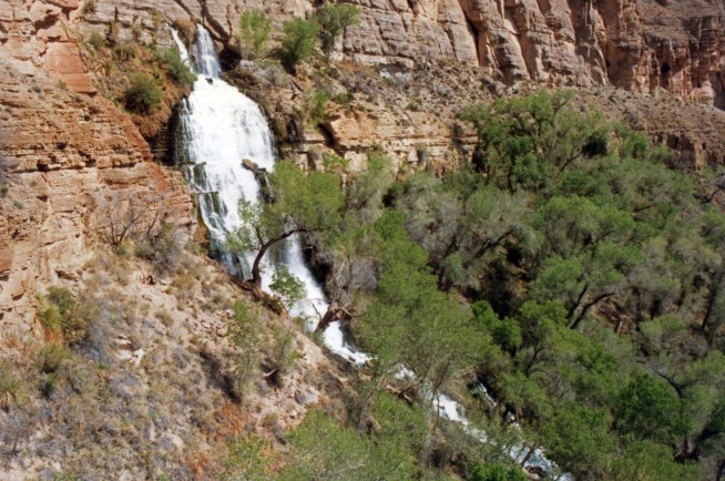 Forever Chemicals Found in Grand Canyon's Springs