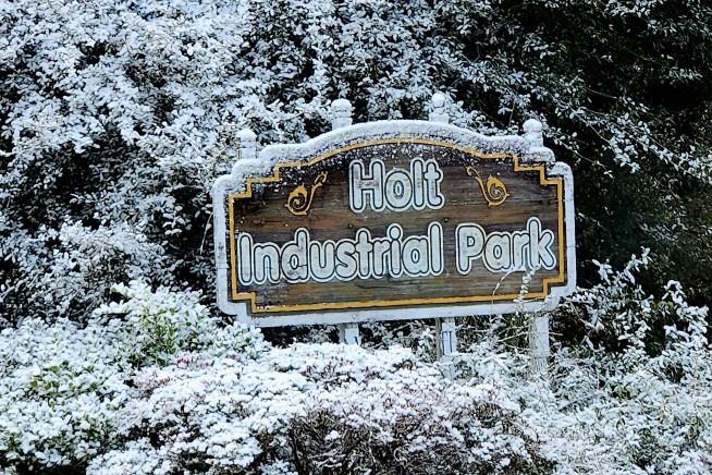 Snow Crosses Florida Line