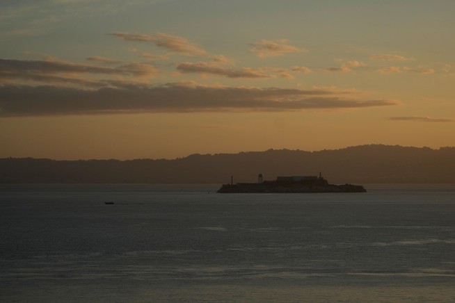 Coyote Swims Across Bay to Alcatraz Island