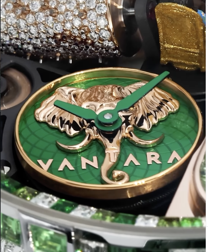 $1.5M Wristwatch Is Dedicated to Zoo Run by Billionaire's Son