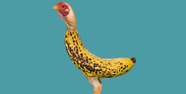 'Chicken Banana' May Be the Next '6-7'
