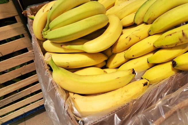 Bananas May Soon Get a Break From a Devastating Fungus
