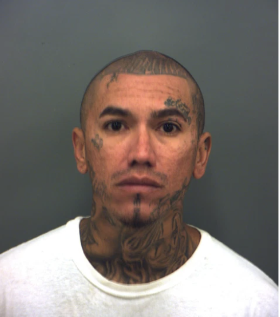 Driver Gets 15 Years for Crash That Killed Dixie Chicks Founder