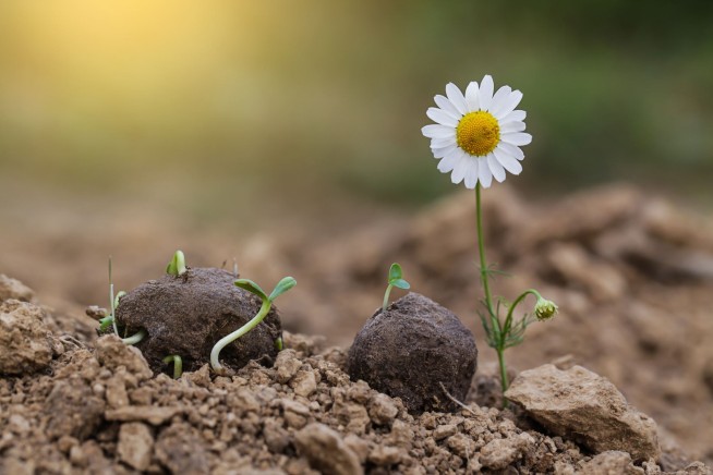 'False Spring' May Bring Record Warmth, but It Likely Won't Last