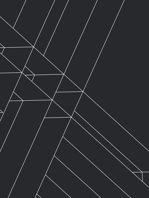 Eggshell Etchings Suggest Early Humans Knew Geometry