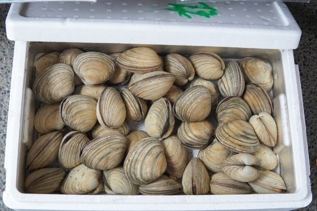 FDA Warns 9 States Over Potentially Tainted Oysters, Clams