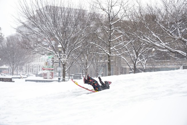 Toronto's Giant Snow Piles Are Creating a Salty, Toxic Mess