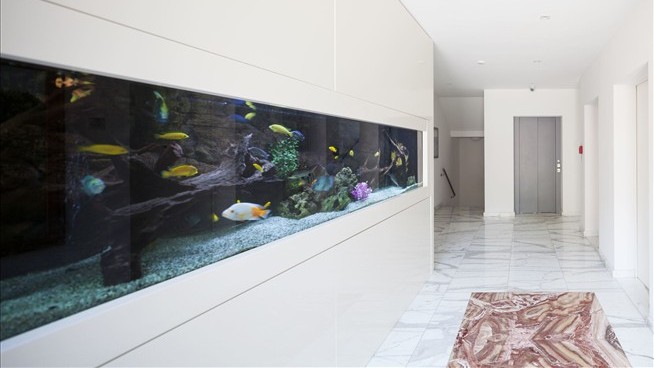 Luxury Homeowners Are Going All-In on Aquariums